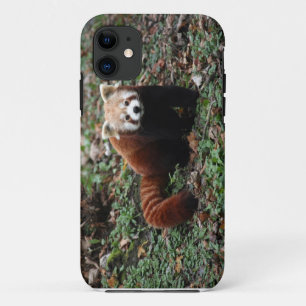 Rode panda Case-Mate iPhone case