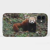 Rode panda Case-Mate iPhone case (Achterkant (horizontaal))
