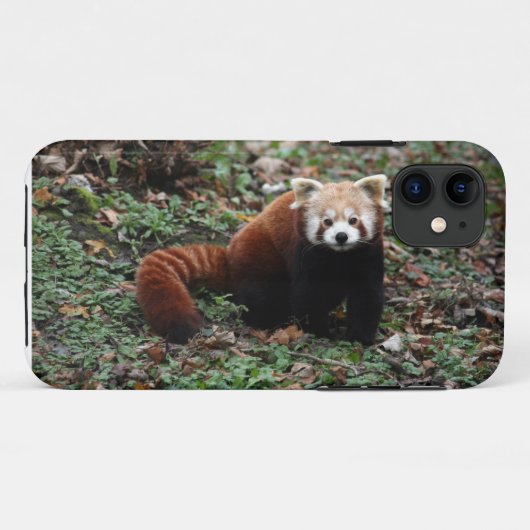 Rode panda Case-Mate iPhone case (Achterkant (horizontaal))