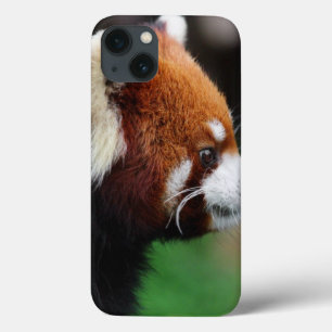 Rode panda Case-Mate iPhone case