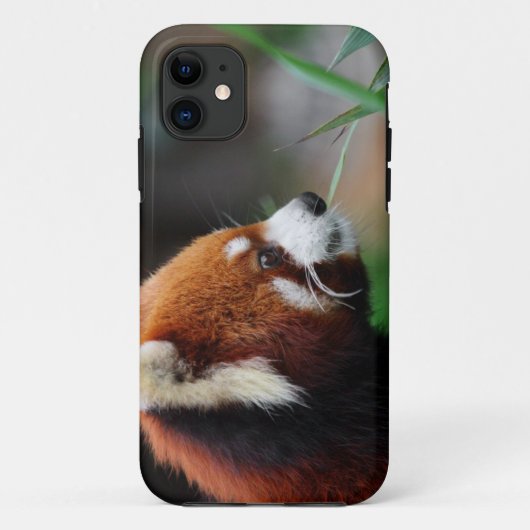Rode panda Case-Mate iPhone case (Achterkant)