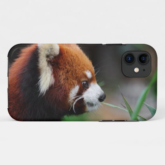 Rode panda Case-Mate iPhone case (Achterkant (horizontaal))