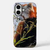 Rode panda Case-Mate iPhone case (Achterkant)