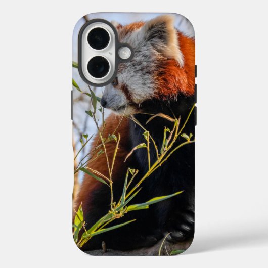 Rode panda Case-Mate iPhone case (Achterkant)