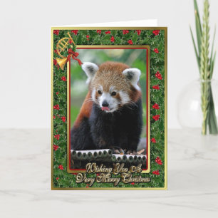 Rode Panda Chinees Dier Blank Kerst Kaart