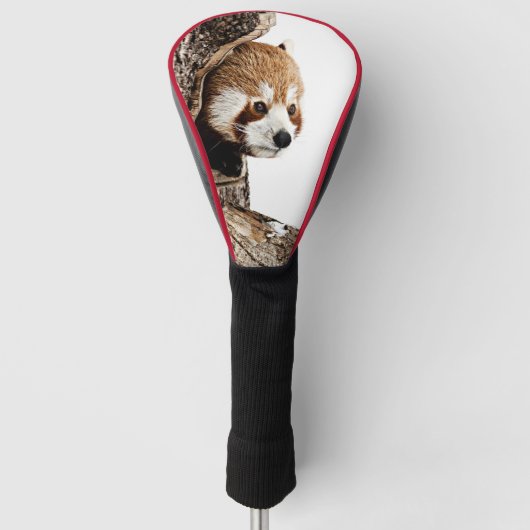Rode panda die uit een boomstam gluurt golfheadcover (Voorkant)