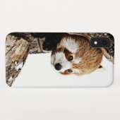 Rode panda die uit een boomstam pikt Case-Mate iPhone case (Achterkant (horizontaal))
