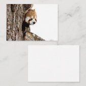 Rode panda die uit een boomstam pikt notitiekaartje (Voorkant / Achterkant)