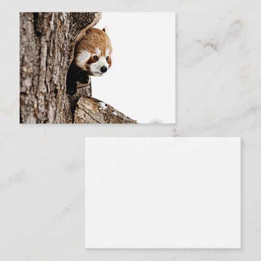 Rode panda die uit een boomstam pikt notitiekaartje (Voorkant / Achterkant)