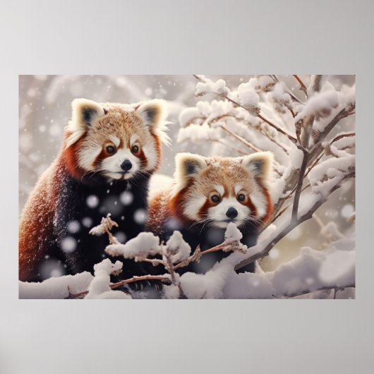 Rode Panda Dier Wildlife Wilderness Kleurrijke Kun Poster (Voorkant)