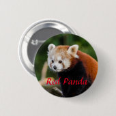 Rode Panda Dierenfotografie Ronde Button 5,7 Cm (Voorkant /achterkant)
