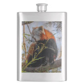 Rode panda flacon (Voorkant)