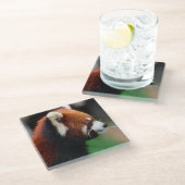 Rode panda glazen onderzetter (Schuin)