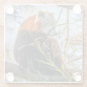 Rode panda glazen onderzetter (Achterkant)
