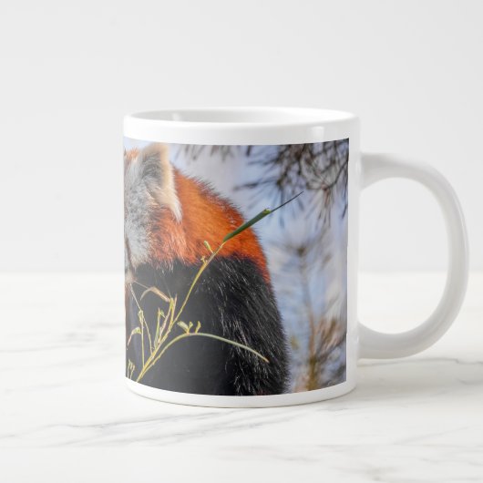 Rode panda grote koffiekop (Rechts)