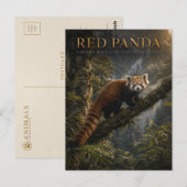 Rode panda Himalaya bos DIEREN Briefkaart (Voorkant / Achterkant)