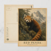Rode Panda Himalaya Woud VINTAGE Briefkaart (Voorkant / Achterkant)