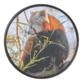 Rode panda hockey puck (Voorkant)