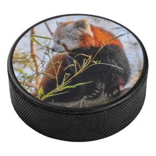 Rode panda hockey puck