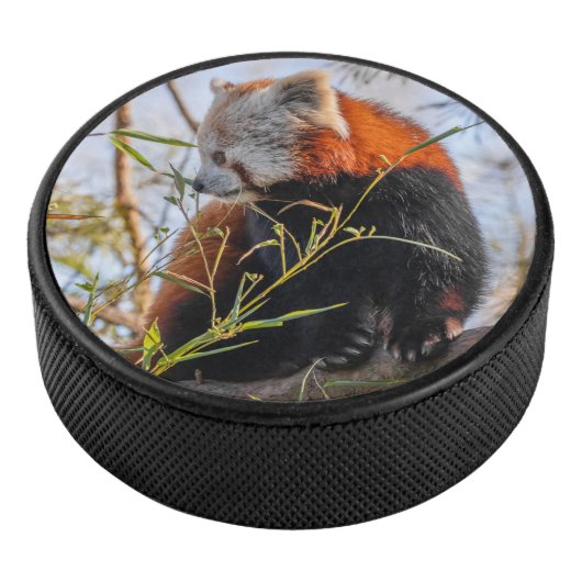 Rode panda hockey puck (3/4)