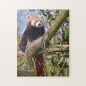 Rode panda in de boom legpuzzel (Verticaal)