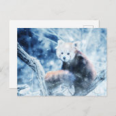  rode panda in de sneeuw feestdagenkaart (Voorkant / Achterkant)