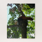 Rode panda in een boompuzzel legpuzzel (Verticaal)