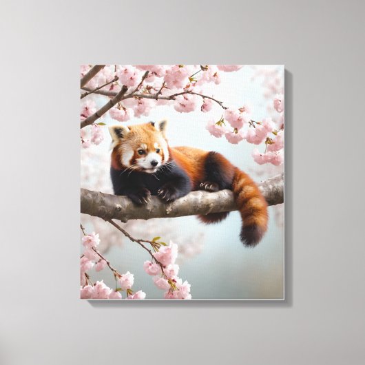 Rode panda in een kersenboom canvas afdruk (Voorkant)