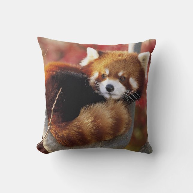 Rode panda in een Sierkussen met bomen (Voorkant)