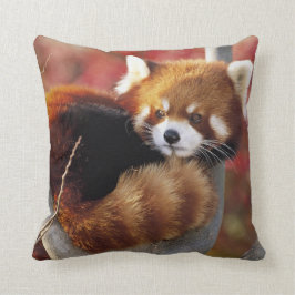 Rode panda in een Sierkussen met bomen