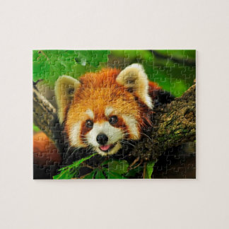 Rode Panda Jigsaw Puzzel