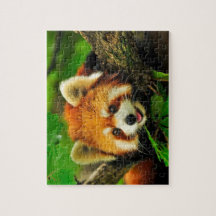 Rode Panda Jigsaw Puzzel
