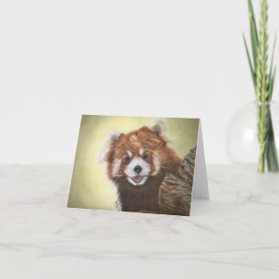 Rode panda-kaart kaart