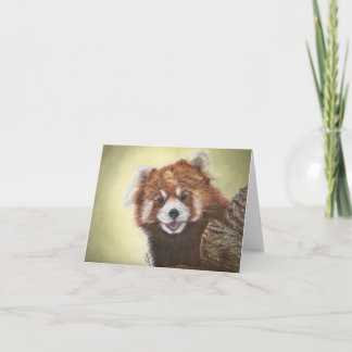 Rode panda-kaart kaart