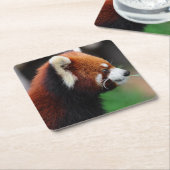 Rode panda kartonnen onderzetters (Schuin)