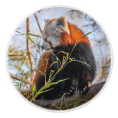 Rode panda keramische knop (Voorkant)