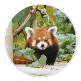 Rode panda keramische knop