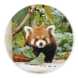 Rode panda keramische knop