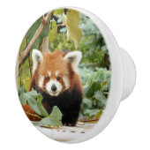 Rode panda keramische knop (Rechts)