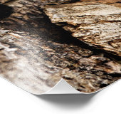 Rode Panda Kiekeboe Foto Afdruk (Hoek)