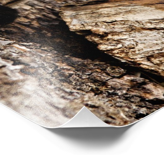 Rode Panda Kiekeboe Foto Afdruk (Hoek)