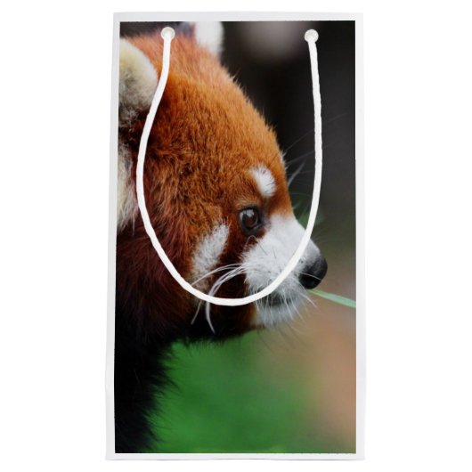 Rode panda klein cadeauzakje (Voorkant)