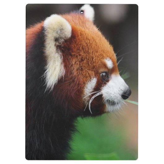 Rode panda klembord (Achterkant)