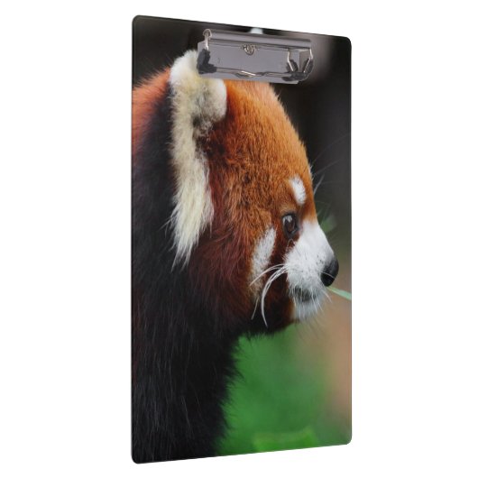 Rode panda klembord (Rechts)
