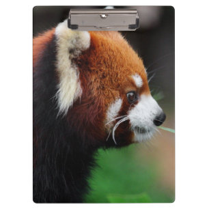 Rode panda klembord