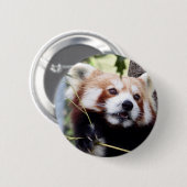 Rode Panda-knop Ronde Button 5,7 Cm (Voorkant /achterkant)