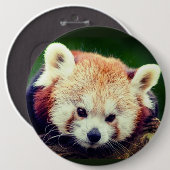 Rode panda knop ronde button 6,0 cm (Voorkant /achterkant)