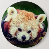 Rode panda knop ronde button 6,0 cm (Voorkant)