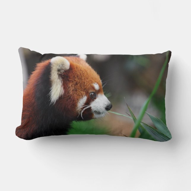 Rode panda kussen (Voorkant)