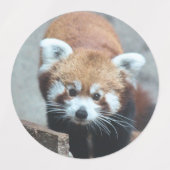 Rode panda labels (Design 2)